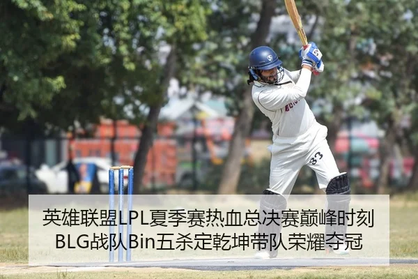 英雄联盟LPL夏季赛热血总决赛巅峰时刻BLG战队Bin五杀定乾坤带队荣耀夺冠